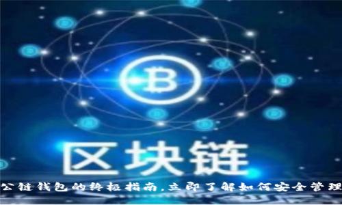 2025必看：TP公链钱包的终极指南，立即了解如何安全管理你的数字资产