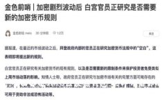 2025必看：全面解析SHIB区块