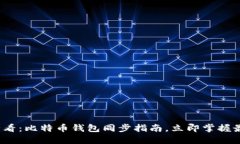 2025必看：比特币钱包同步