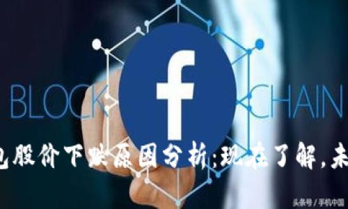 2023年区块链钱包股价下跌原因分析：现在了解，未来投资决策更明智