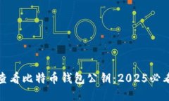 如何查看比特币钱包公钥