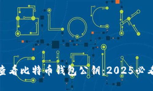 如何查看比特币钱包公钥：2025必看攻略
