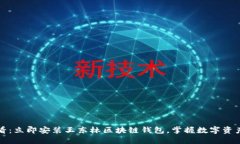 2025必看：立即安装王东林