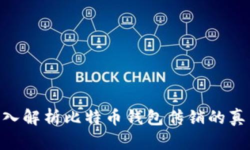 2025必看：深入解析比特币钱包传销的真相与防范策略