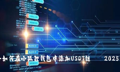 立即学会如何在小狐狸钱包中添加USDT链——2025必看技巧