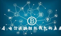 2025必看：电信区块链热钱