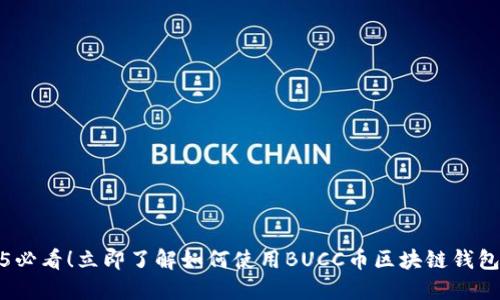 2025必看！立即了解如何使用BUCC币区块链钱包支付