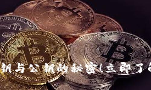 2025必看：揭秘比特币钱包私钥与公钥的秘密！立即了解如何安全管理你的加密资产！