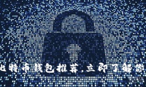 2025必看：最佳比特币钱包推荐，立即了解你的资产存放选择！