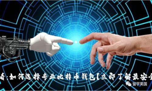 2025必看：如何选择专业比特币钱包？立即了解最安全的选择！
