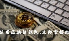 2025必看：如何使用区块链钱包，立即掌握数字资