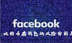 2025必看：比特币存钱包的风险分析与安全防护