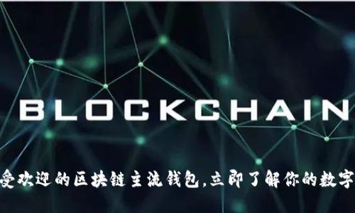 2025必看：最受欢迎的区块链主流钱包，立即了解你的数字资产安全选择