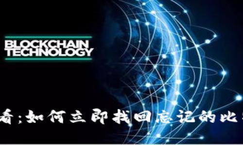 2025必看：如何立即找回忘记的比特币钱包