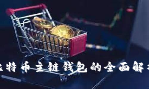 2025必看：比特币主链钱包的全面解析与使用指南