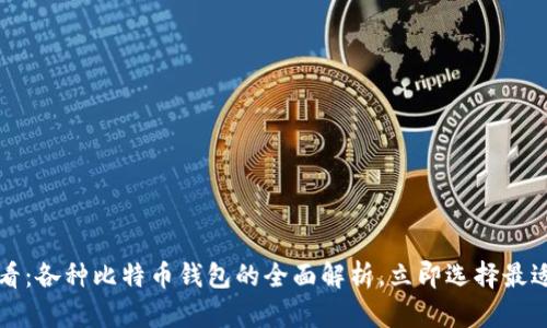 2025必看：各种比特币钱包的全面解析，立即选择最适合你的！