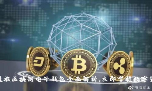 2025必看：魅族区块链电子钱包全面解析，立即掌握数字货币未来趋势
