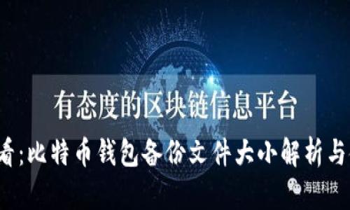 2025必看：比特币钱包备份文件大小解析与使用指南