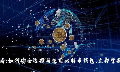 2017年必看：如何安全选择与使用比特币钱包，立即掌握投资机遇!