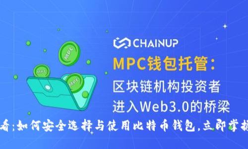 2017年必看：如何安全选择与使用比特币钱包，立即掌握投资机遇!