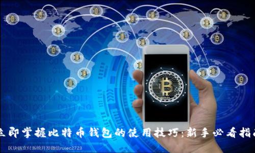 立即掌握比特币钱包的使用技巧：新手必看指南
