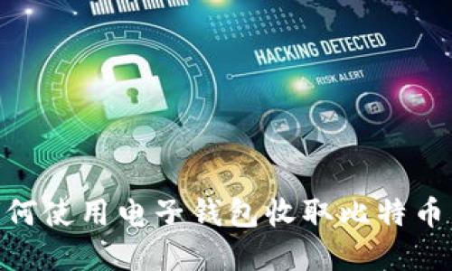 立即了解如何使用电子钱包收取比特币，2025必看！