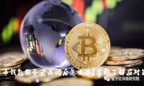 比特币钱包服务器关闭后怎么办？立即了解应对策略！
