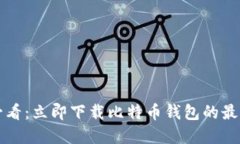 2025必看：立即下载比特币
