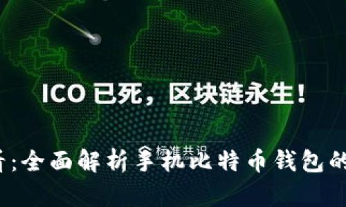 2025必看：全面解析手机比特币钱包的几种类型