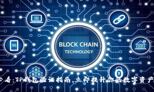 2025必看：TP钱包验证指南，立即提升你的数字资产安全性