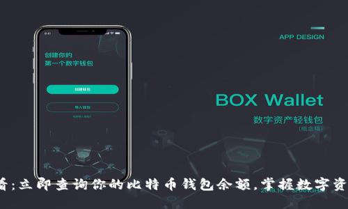 2025必看：立即查询你的比特币钱包余额，掌握数字资产的未来