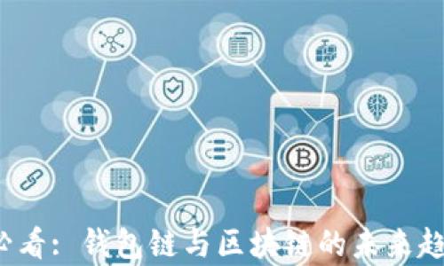 
2025必看: 钱包链与区块链的未来趋势分析