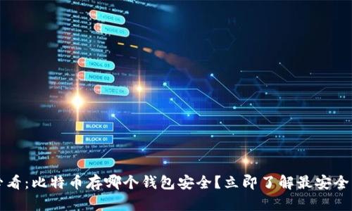 2025必看：比特币存哪个钱包安全？立即了解最安全的选择！