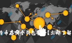 2025必看：比特币存哪个钱