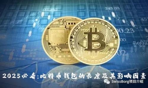 2025必看：比特币钱包的长度及其影响因素