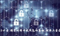 2025必看：揭露比特币坑钱