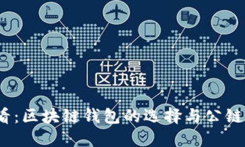 2025必看：区块链钱包的选择与公链发展现状