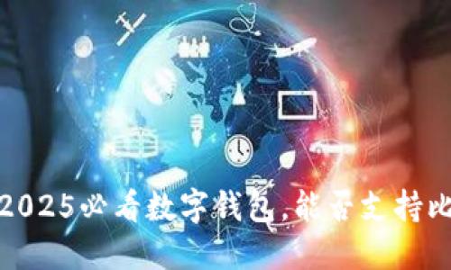 立即了解：2025必看数字钱包，能否支持比特币支付？
