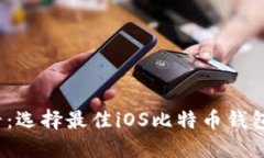 2025年必看：选择最佳iOS比