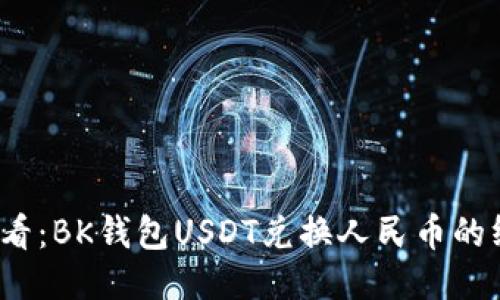 2025必看：BK钱包USDT兑换人民币的终极指南