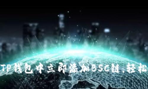 2025必看：如何在TP钱包中立即添加BSC链，轻松管理你的数字资产
