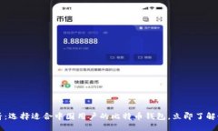 2025必看：选择适合中国用