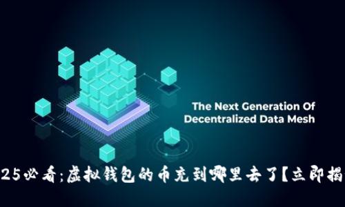 2025必看：虚拟钱包的币充到哪里去了？立即揭秘！