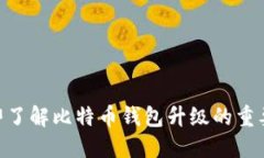 2025必看：立即了解比特币
