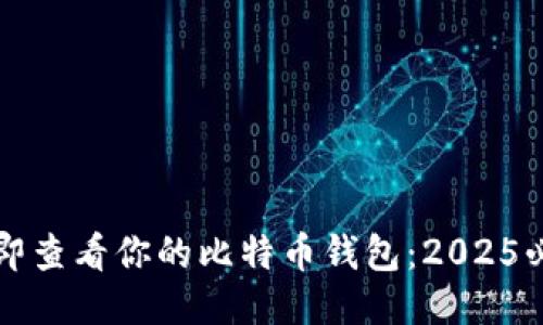 如何立即查看你的比特币钱包：2025必看指南