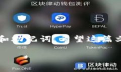 在TP钱包中重新建立地址的