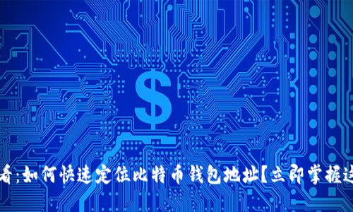 2025必看：如何快速定位比特币钱包地址？立即掌握这项技能！