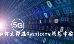 2025必看：如何立即在Omn