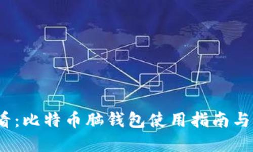 2025必看：比特币脑钱包使用指南与安全建议