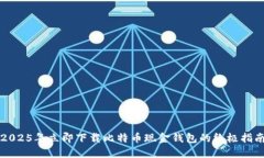 2025年立即下载比特币现金